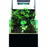 DOOA Steel Cabinet for MIZUKUSA Mist Wall