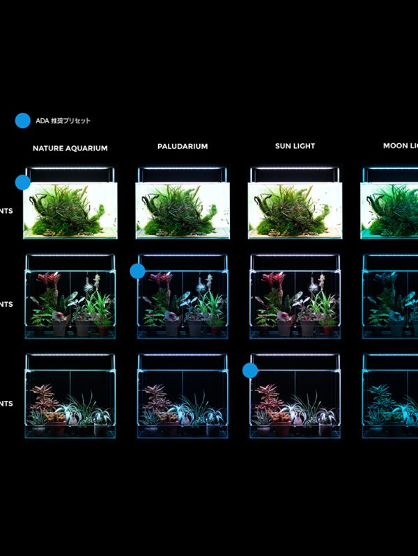 AQUASKY RGB II 600 - Image 2