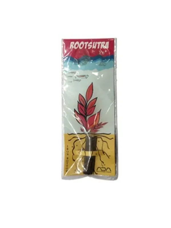 ROOT SUTRA - Bottom Plus Sticks (12+1 Free) - 1 (Individual)