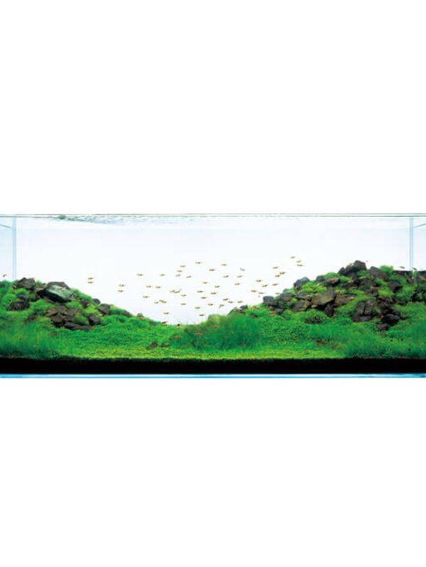 Yamaya Stone - Image 2