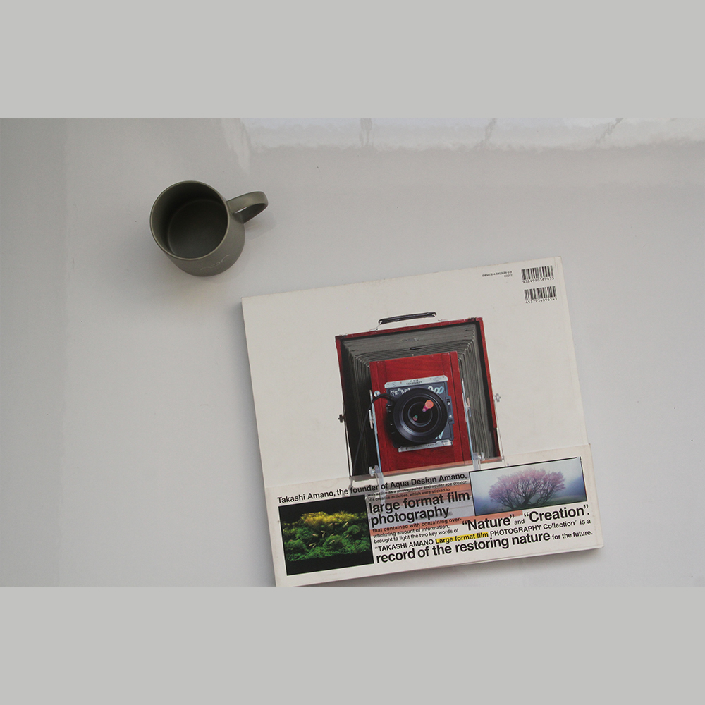 TAKASHI AMANO L Photography (English) - Image 2