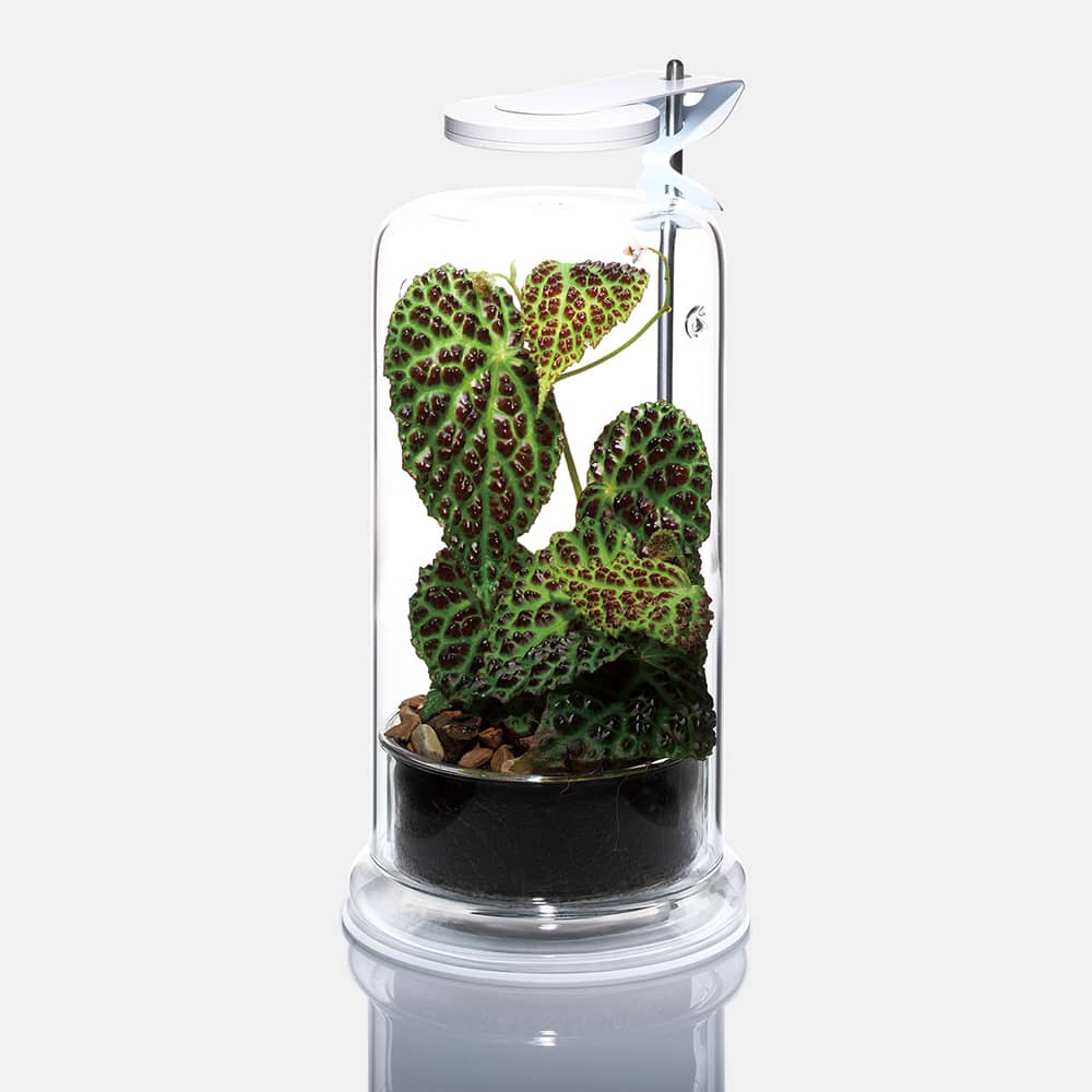 LIGHT STAND Z - Image 3