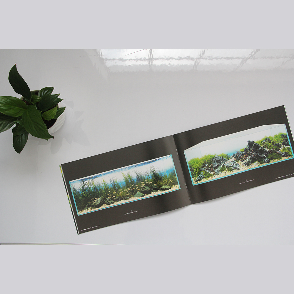 Ada Suikei Creators Photo Book Vol.01 - Image 2
