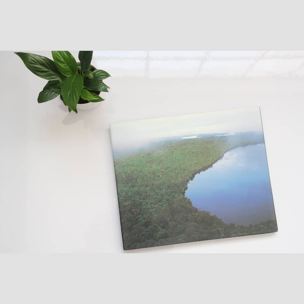 The Rio Negro (English) - Image 4